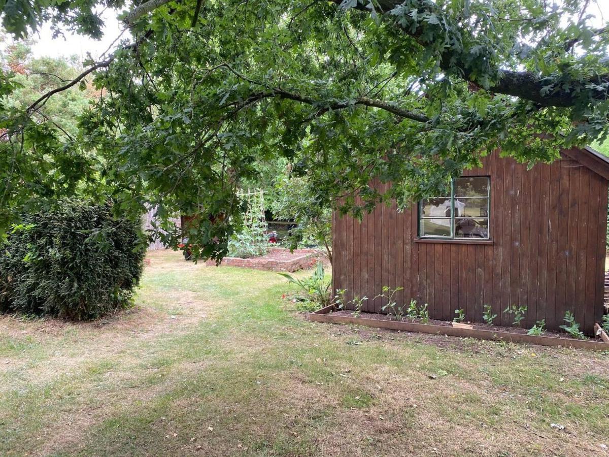 Orchard Cabin Herefordshire Wye Valley Ross-on-Wye Екстер'єр фото